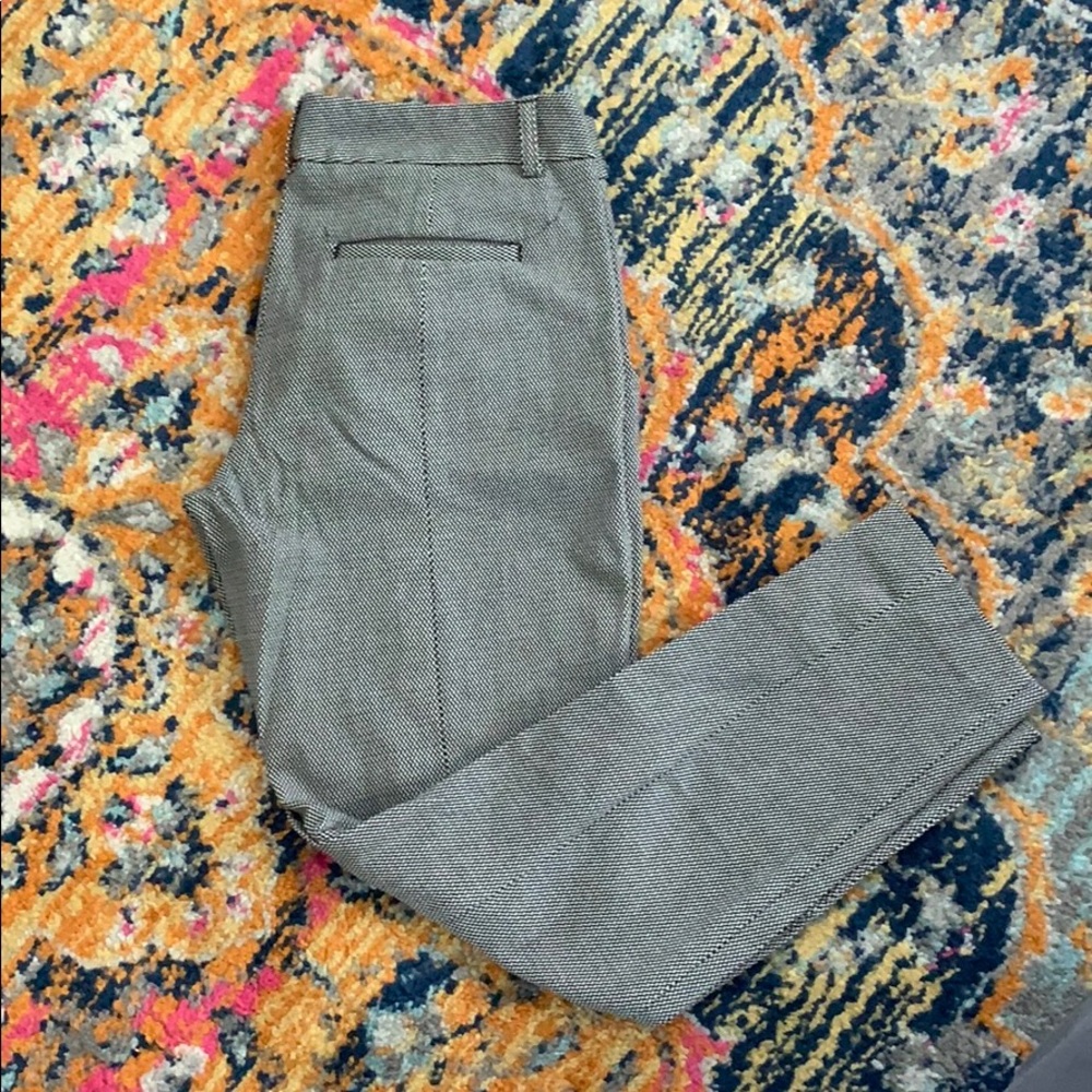 Express Columnist pant